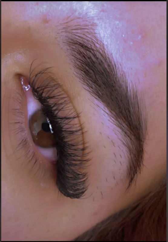 Captura de pantalla 2025-01-28 162225