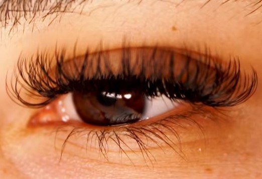 Captura de pantalla 2025-01-28 162650