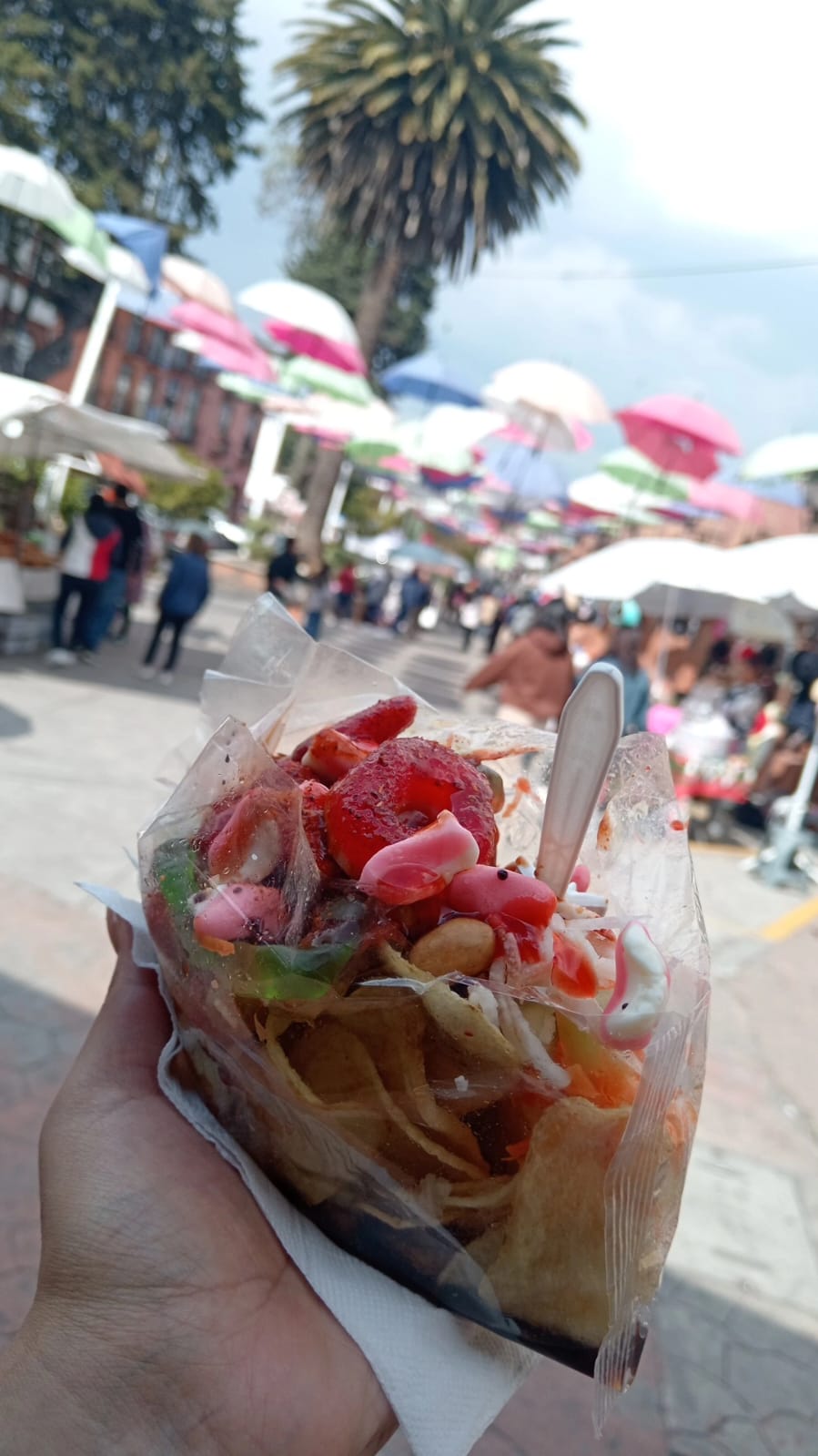 WhatsApp Image 2025-02-02 at 10.50.19 PM (1)