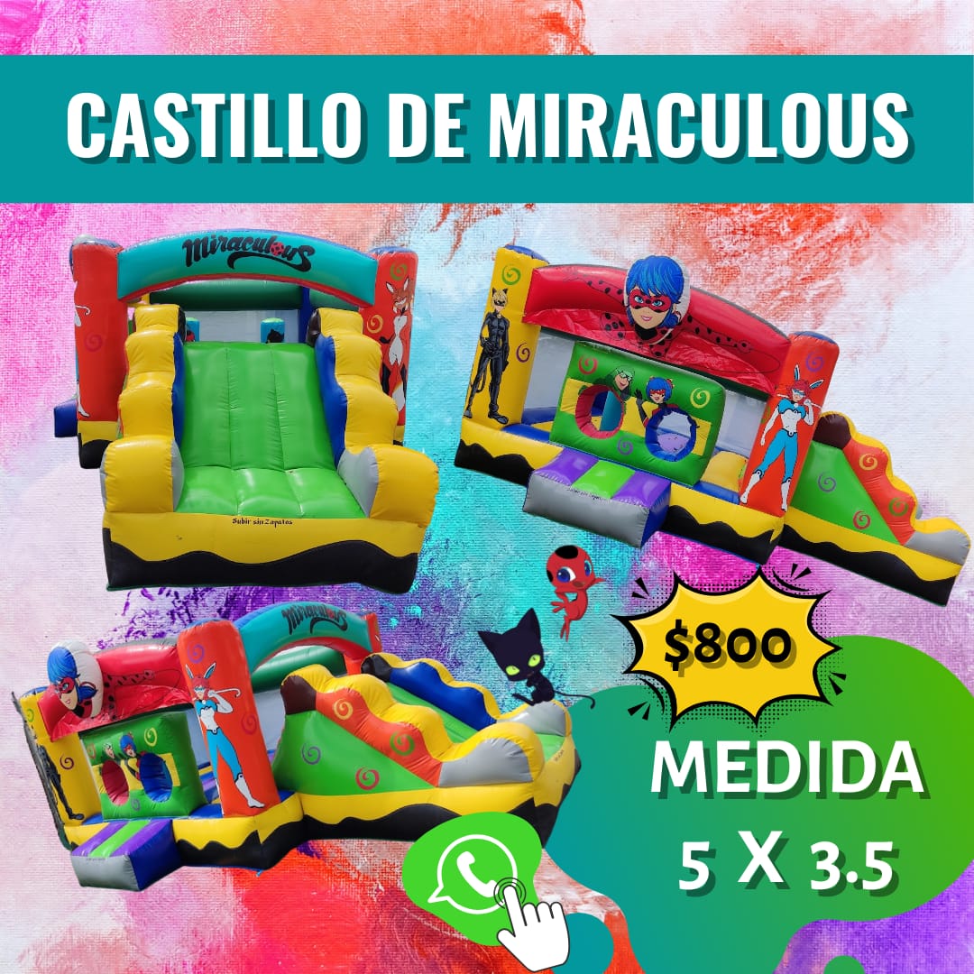 WhatsApp Image 2025-02-13 at 11.48.37 PM