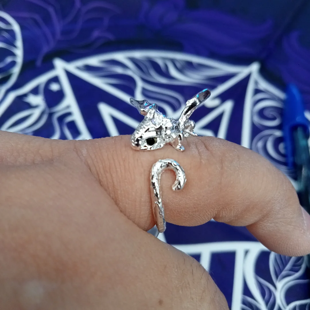 nekosamaaccesorios_1739519442312