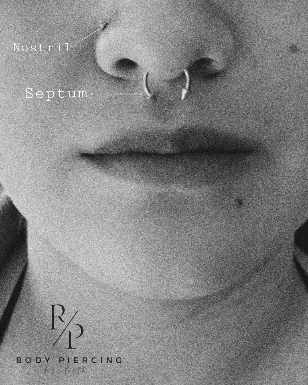 SaveClip.App_433246629_2409189632607400_5885259880277740971_n